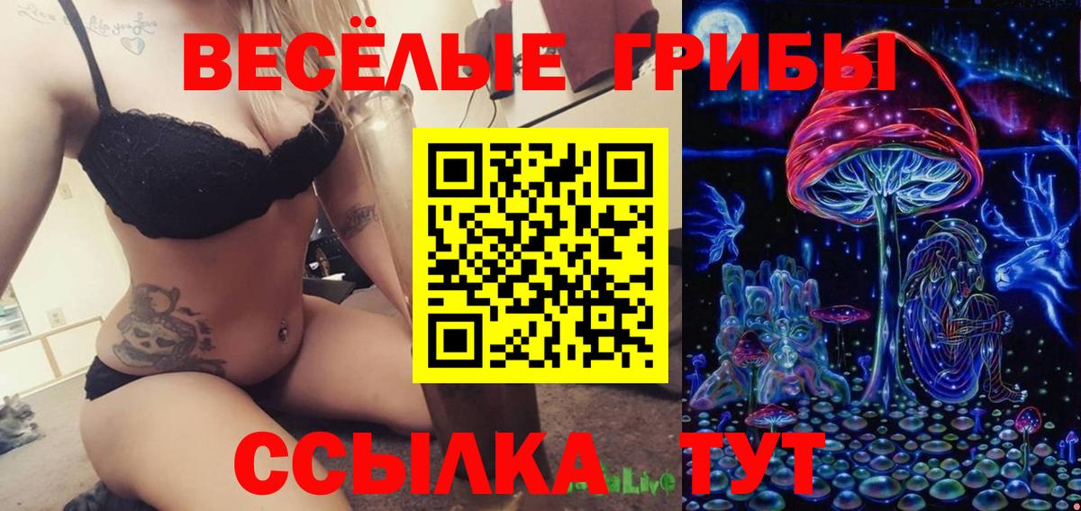Галлюциногенные грибы MAGIC MUSHROOMS Вичуга