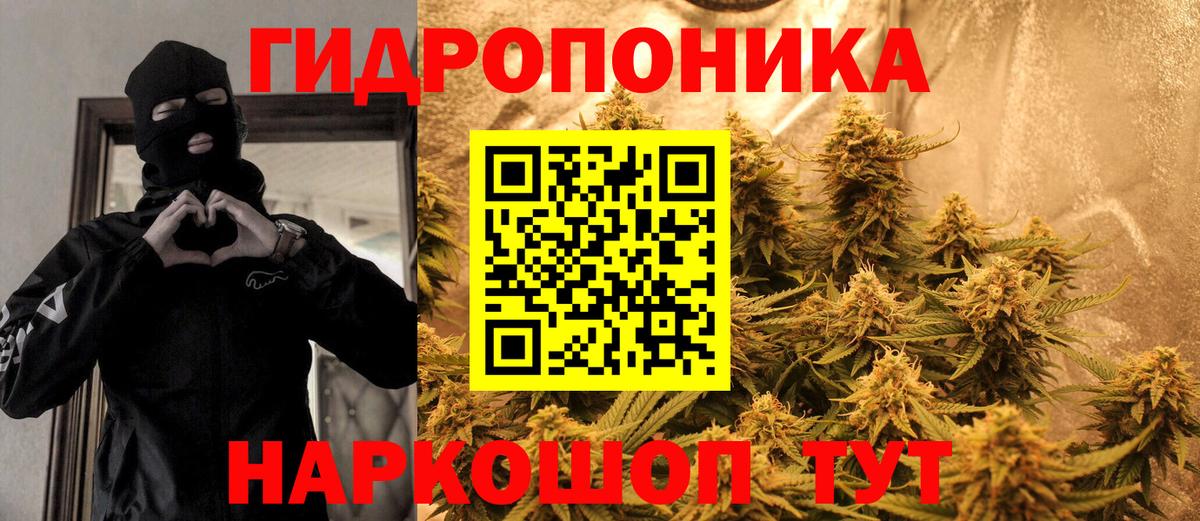 Шишки марихуана AK-47  Марихуана Bruce Banner  Вичуга  Вход с VPN 